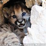 Minnie Prohaska Profile Picture