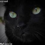 Nadia Swift Profile Picture