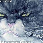 Letitia Cremin Profile Picture