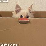 Dimitri Harvey Profile Picture