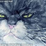 Cassandre Jerde Profile Picture